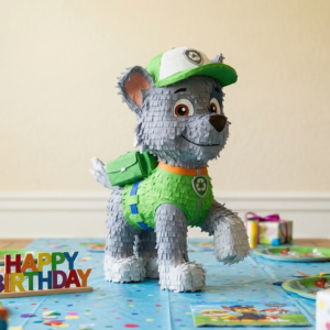 Paw Patrol Rocky 3D Pinata 24" inch Decoration Party Birthday