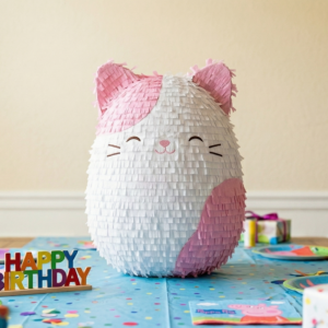 Squishmallows Cat 3D Pinata 24" inch Decoration Party Birthday