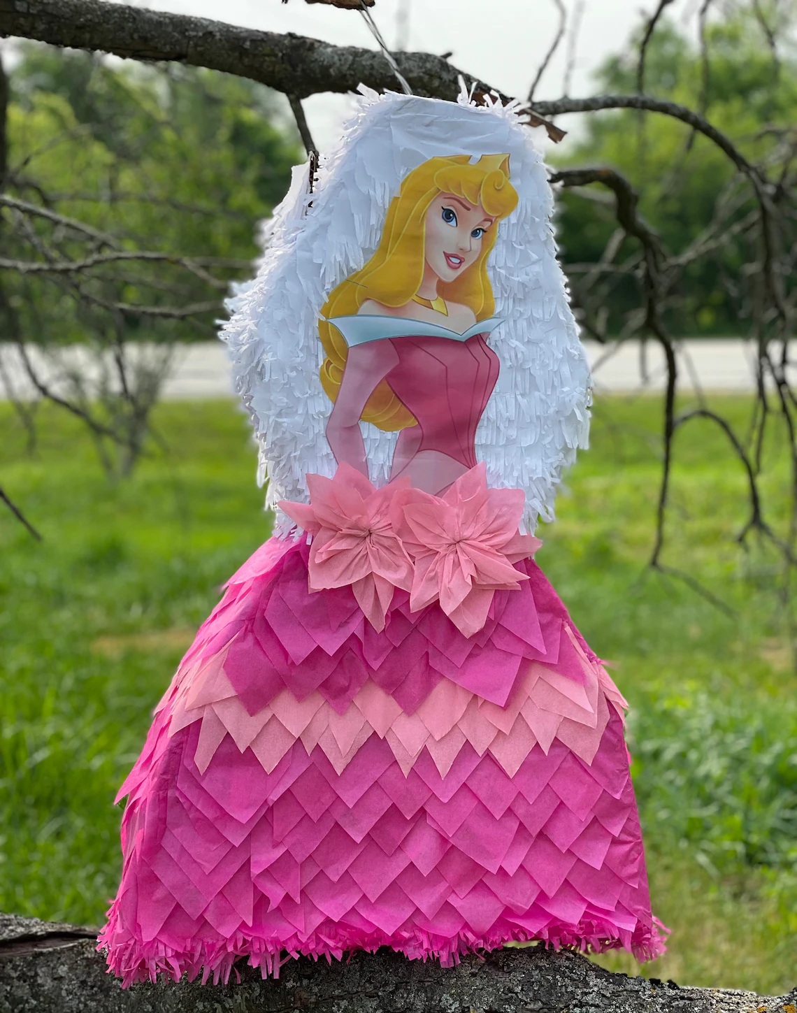 Princess Aurora Sleeping Beauty 3D Pinata 24" inch Decoration Party Birthday Decor Gift