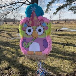 Bluey Chatter Bird 3D Pinata 24" inch Decoration Party Birthday Decor Gift