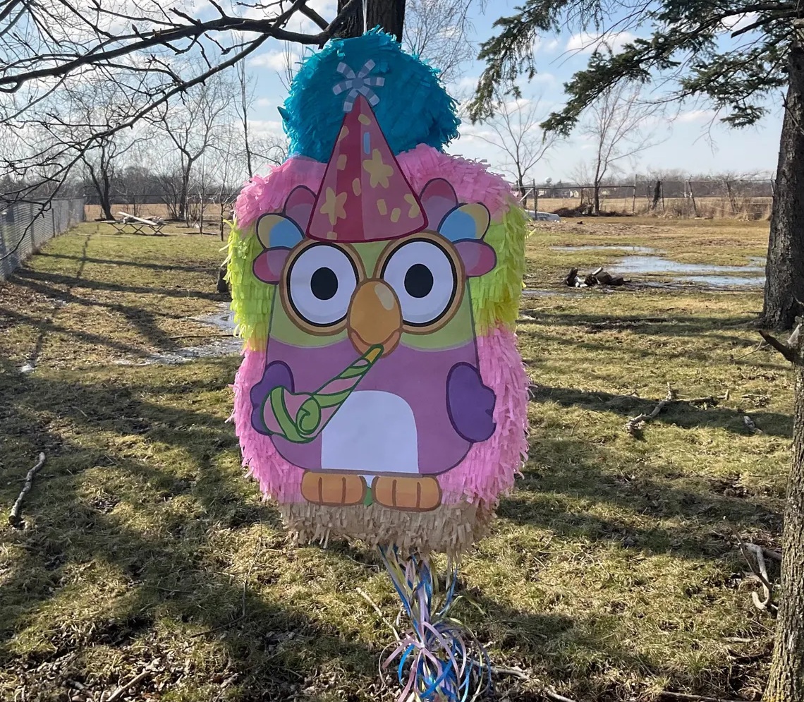 Bluey Chatter Bird 3D Pinata 24" inch Decoration Party Birthday Decor Gift