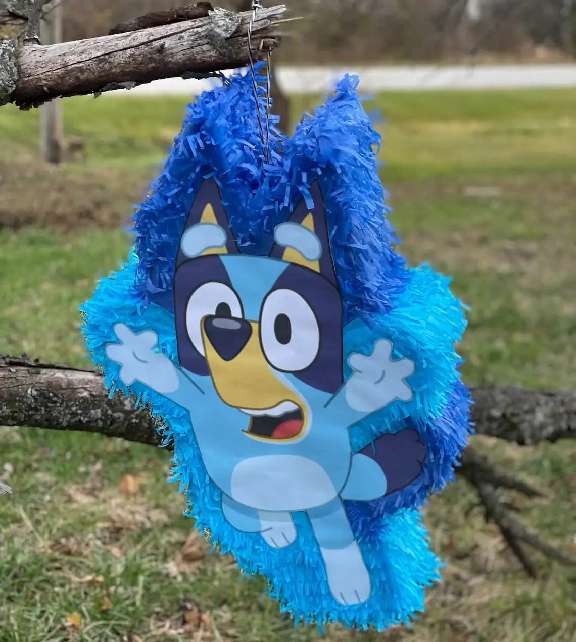 Bluey Jumping 3D Pinata 24" inch Decoration Party Birthday Decor Gift