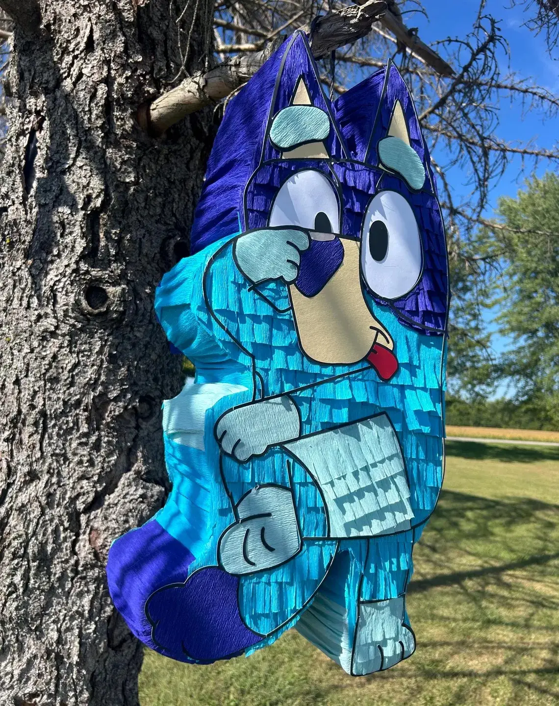 Bluey Silly Pose 3D Pinata 24" inch Decoration Party Birthday