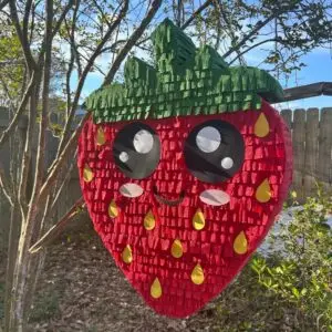 Cute Face Strawberry 3D Pinata 24" inch Decoration Party Birthday