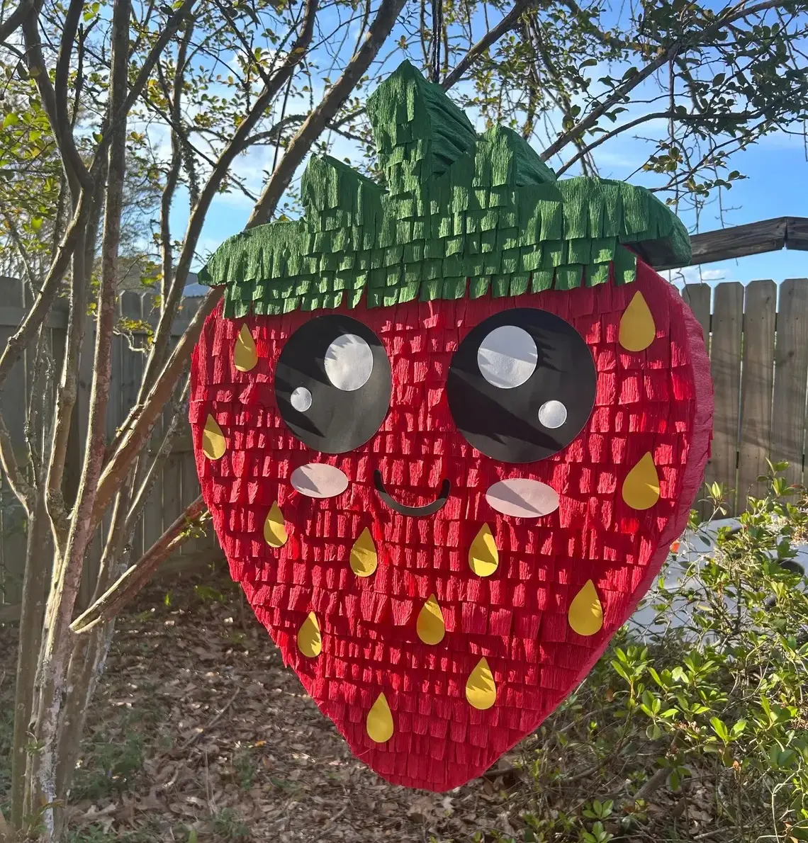 Cute Face Strawberry 3D Pinata 24" inch Decoration Party Birthday