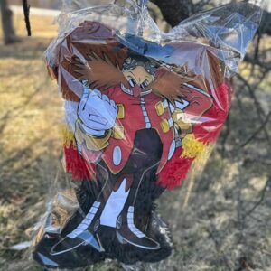 Sonic the Hedgehog Eggman 3D Pinata 24" inch Decoration Party Birthday Decor Gift