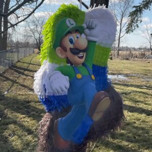 Super Mario Luigi 3D Pinata 24" inch Decoration Party Birthday Decor Gift