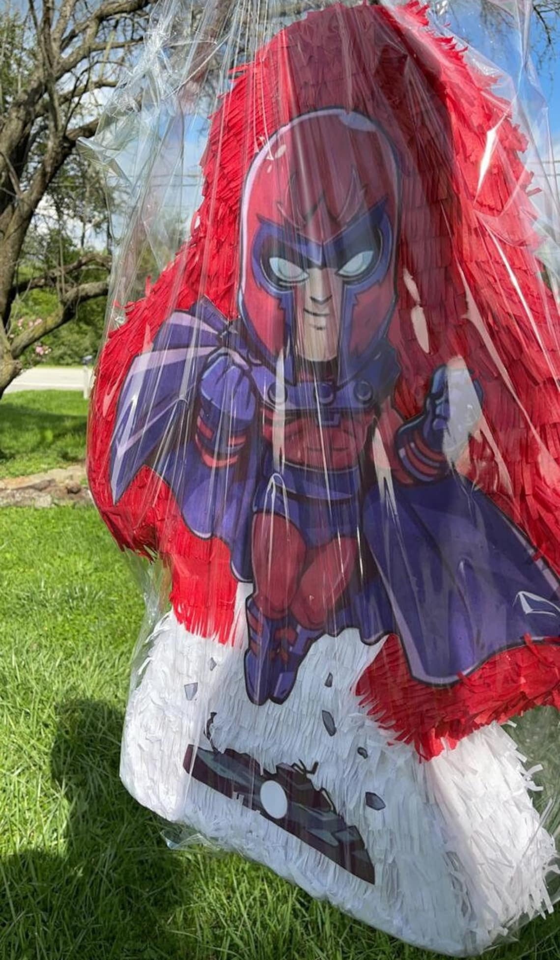 Magneto 3D Pinata 24" inch Decoration Party Birthday Decor Gift