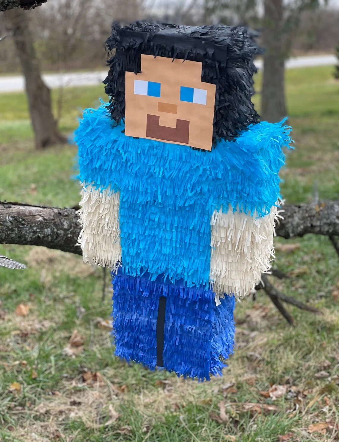 Minecraft Steve 3D Pinata 24" inch Decoration Party Birthday Decor Gift