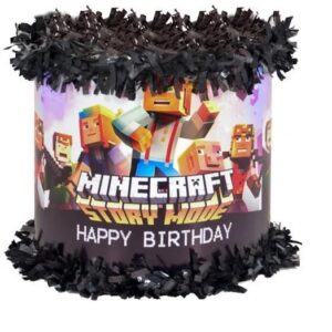 Minecraft Story Mode 3D Pinata 24" inch Decoration Party Birthday Decor Gift
