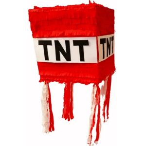 Minecraft TNT Block 3D Pinata 24" inch Decoration Party Birthday Decor Gift
