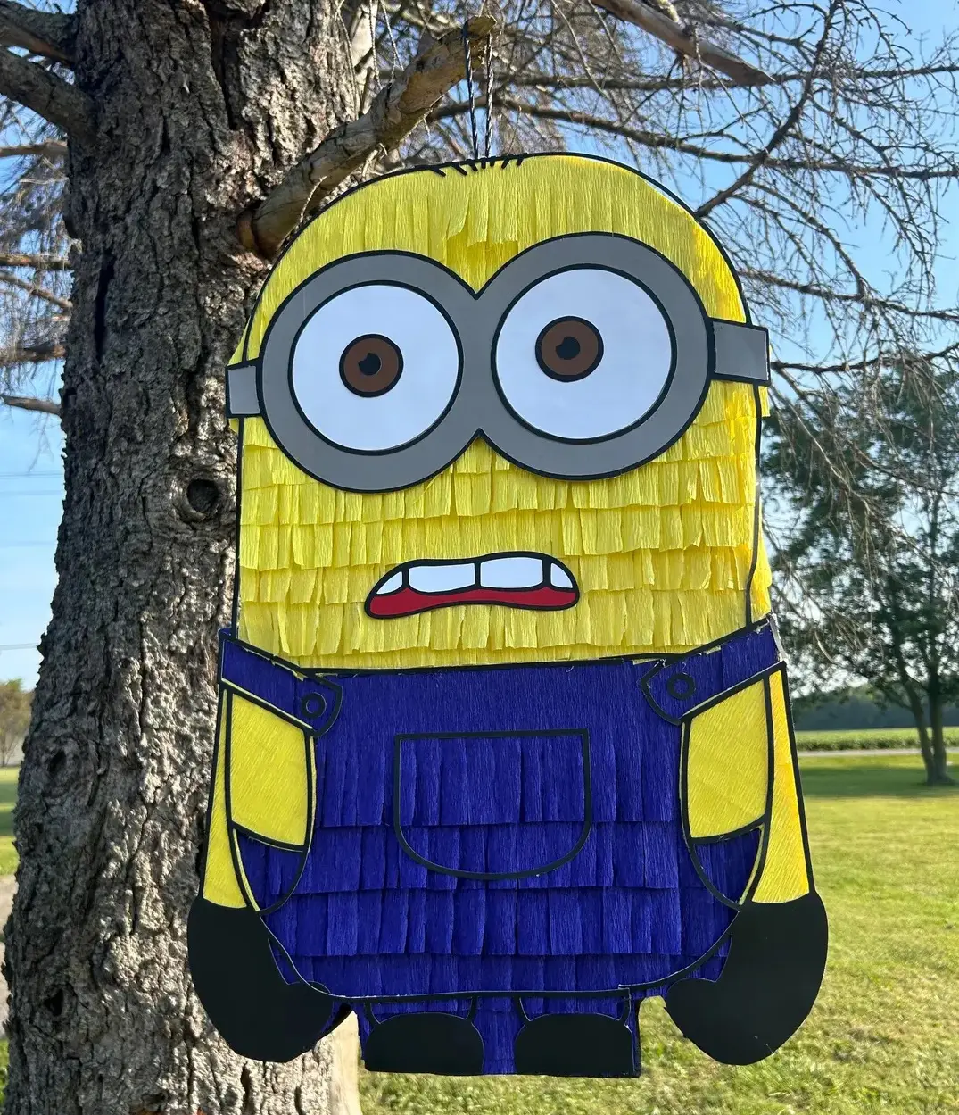 Minion 3D Pinata 24" inch Decoration Party Birthday