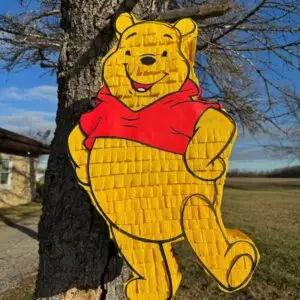 Winnie the Pooh 3D Pinata 24" inch Decoration Party Birthday Decor Gift