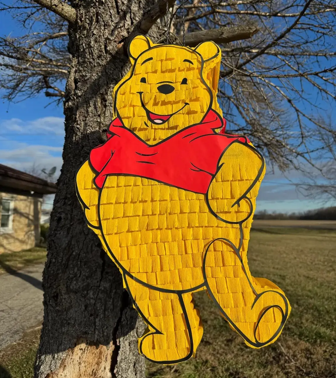 Winnie the Pooh 3D Pinata 24" inch Decoration Party Birthday Decor Gift
