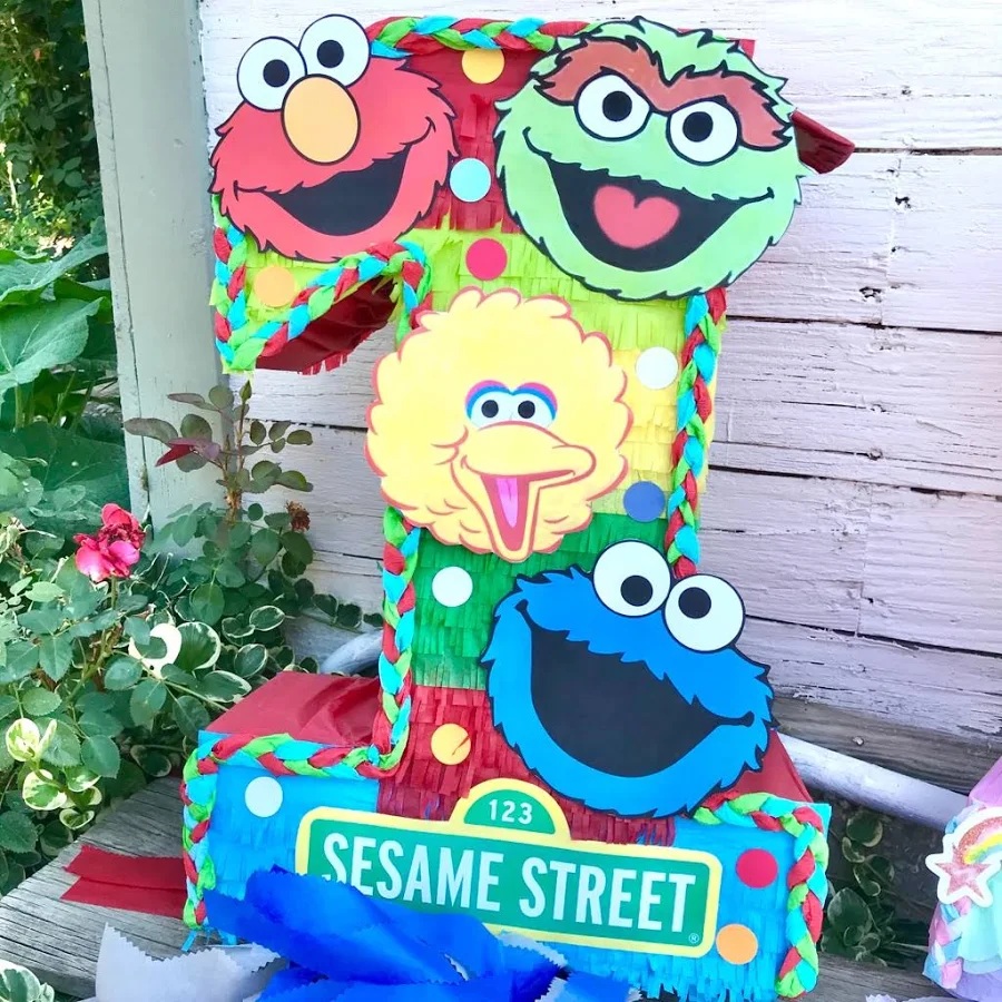 Sesame Street Boys Custom Number 3D Pinata 24" inch Decoration Party Birthday Decor Gift