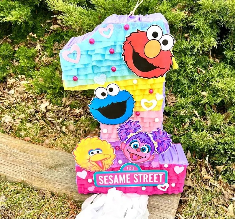 Sesame Street Girls 3D Pinata 24" inch Decoration Party Birthday Decor Gift