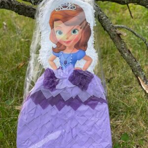 Princess Sofia the First 3D Pinata 24" inch Decoration Party Birthday Decor Gift