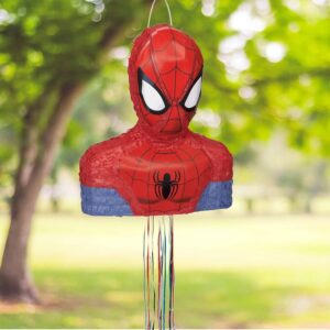 Spiderman Bust 3D Pinata 24" inch Decoration Party Birthday Decor Gift