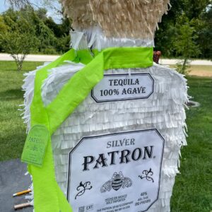Tequila Patron Bottle 3D Pinata 24" inch Decoration Party Birthday Decor Gift